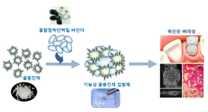 ㈜푸르고, 홍합접착단백질 성분 상용화 본격 추진