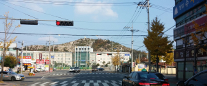 푸르던 포항 산림들 흉물로 전락