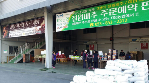경산시 자인농협, 김장 직거래 장터 개장