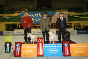 대한민국 최고 국견들 경주 집결