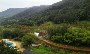 市, 산림행정 종합평가 ‘우수기관’ 선정