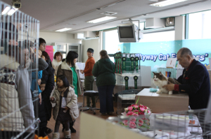 수성대, 제 5회 고양이 전람회