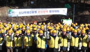 산림청, 포항서 소나무재선충병 완전방제 결의