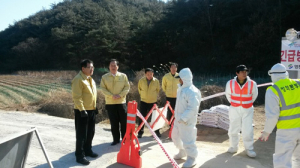 경북 덮친 구제역, 급속 확산 ‘초비상’