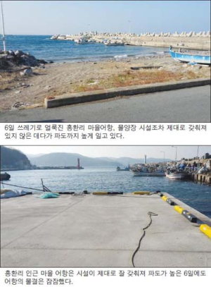 포항시 동해면 흥환리 발전 ‘하세월’