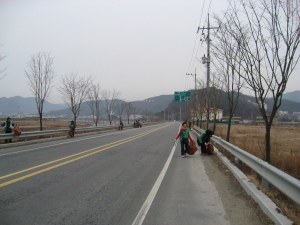 고령군, 새해맞이 자연보호활동 전개
