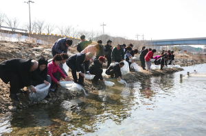동해안 연어 회귀율 급감 ‘비상’
