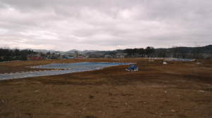 포항 KTX 신역사 인근, 고대유물 발굴