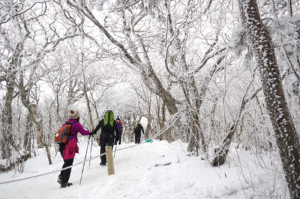 겨울산행, 이 정도는 알아야 안전