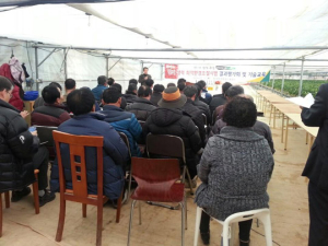 군위군 시설딸기 고설재배 시범사업 현장평가회