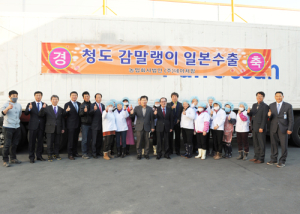 청도 감말랭이, 日 수출길 ‘활짝’