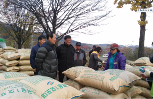 영천시, 쌀 변동직불금 4년만에 지급